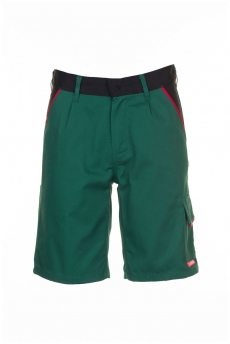 Highline Shorts grün