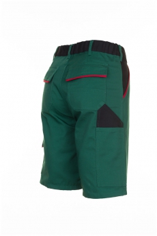 Highline Shorts grün