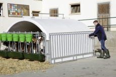 CalfHouse Premium XXL mit Umzäunung