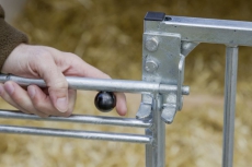 CalfHouse Master Plus mit leichter Umzäunung