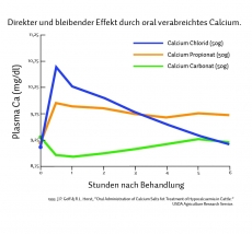 Holland Animal Care Calcium Bolus Gold 4 Stück