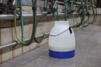 Melkeimer Kunststoff 30 Liter ECO